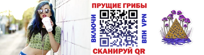 OMG   Ртищево  Галлюциногенные грибы Magic Shrooms 